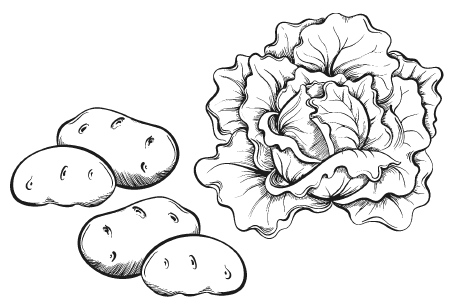 Иллюстрация к книге — Мы из Дачкино. Советы без занудства для новых дачников [i_016.jpg]