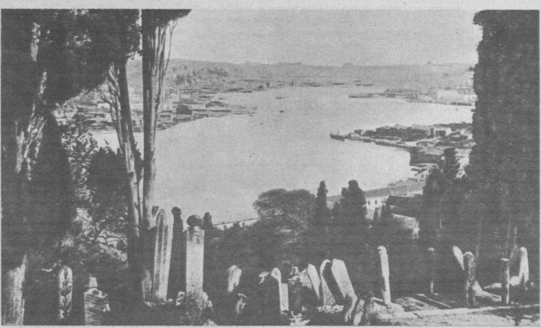 Иллюстрация к книге — Босфор. Россия и Турция в эпоху первой мировой войны [i_007.jpg]