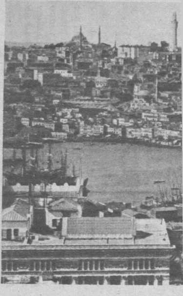 Иллюстрация к книге — Босфор. Россия и Турция в эпоху первой мировой войны [i_010.jpg]