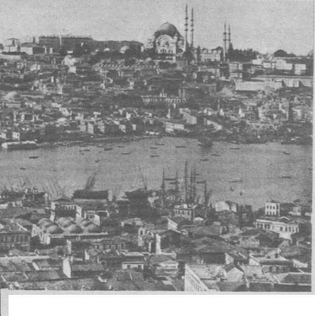 Иллюстрация к книге — Босфор. Россия и Турция в эпоху первой мировой войны [i_011.jpg]