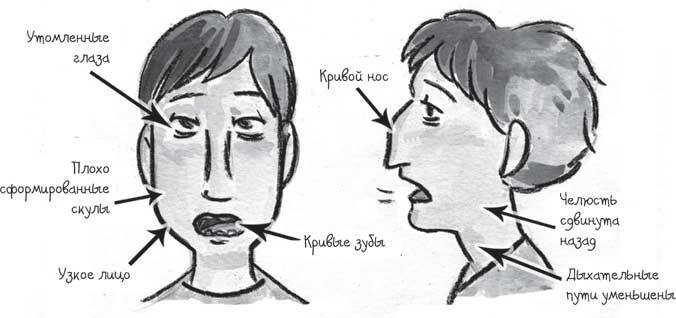 Иллюстрация к книге — Лечебное дыхание. Новые методики оздоровления по системе доктора Бутейко [i_025.jpg]