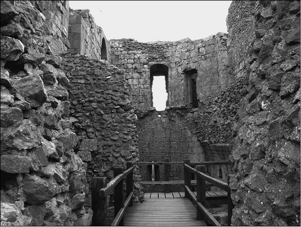 Иллюстрация к книге — Альбигойские войны 1208—1216 гг. [i_025.jpg]