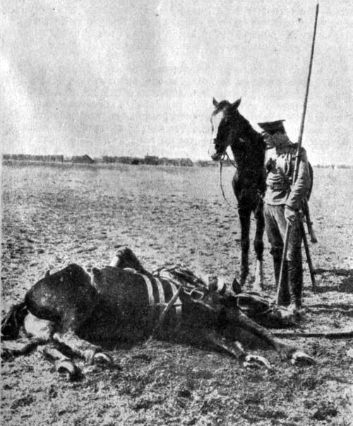 Иллюстрация к книге — Русская и советская кавалерия. Русско-японская, Первая Мировая, Гражданская [i_043.jpg]