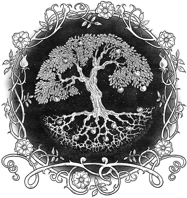 Иллюстрация к книге — Игла и нить [i_006.jpg]