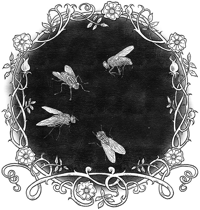 Иллюстрация к книге — Игла и нить [i_028.jpg]