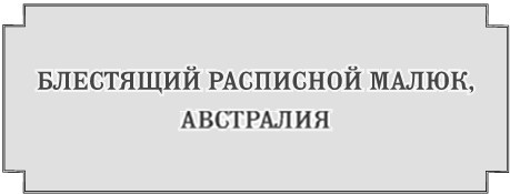 Иллюстрация к книге — Злые фантомы [i_001.jpg]