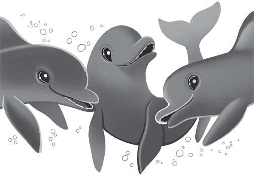 Иллюстрация к книге — Русалочка. Талисман забытых земель [i_010.jpg]