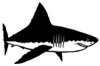 Иллюстрация к книге — Русалочка. Всеищущее кольцо [i_005.jpg]