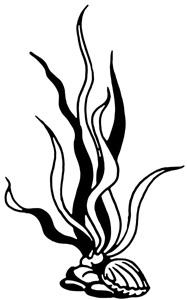 Иллюстрация к книге — Русалочка. Зов гармонии [i_032.jpg]