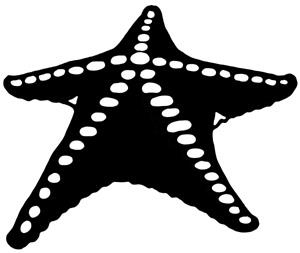 Иллюстрация к книге — Русалочка. Зов гармонии [i_039.jpg]