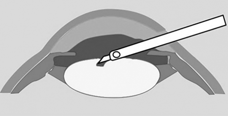 Иллюстрация к книге — Во все глаза. Секретная книга для тех, кто хочет сохранить или исправить зрение [i_013.jpg]