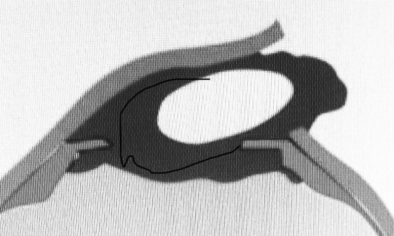 Иллюстрация к книге — Во все глаза. Секретная книга для тех, кто хочет сохранить или исправить зрение [i_014.jpg]