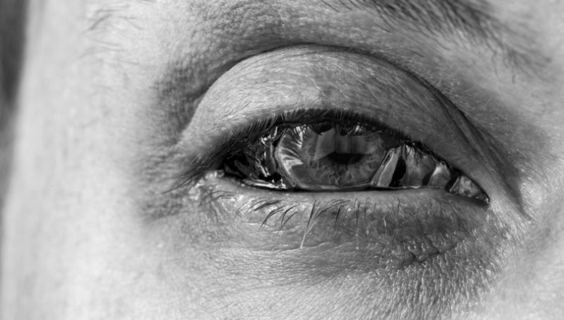 Иллюстрация к книге — Во все глаза. Секретная книга для тех, кто хочет сохранить или исправить зрение [i_018.jpg]