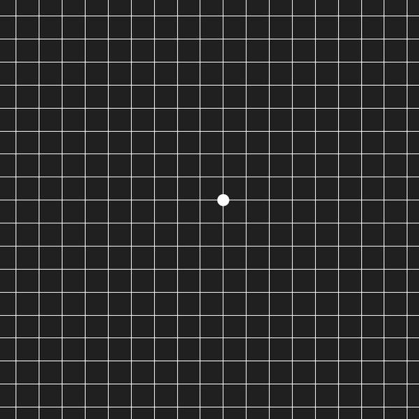 Иллюстрация к книге — Во все глаза. Секретная книга для тех, кто хочет сохранить или исправить зрение [i_019.jpg]