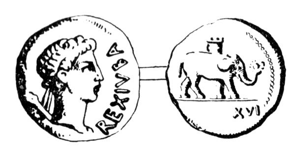 Иллюстрация к книге — Животные в войнах древнего мира [i_009.jpg]