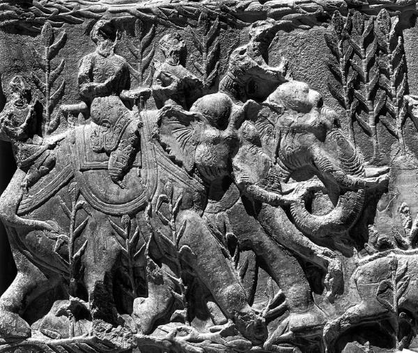 Иллюстрация к книге — Животные в войнах древнего мира [i_011.jpg]