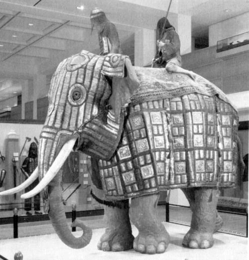 Иллюстрация к книге — Животные в войнах древнего мира [i_012.jpg]