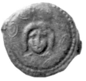 Иллюстрация к книге — Животные в войнах древнего мира [i_024.jpg]