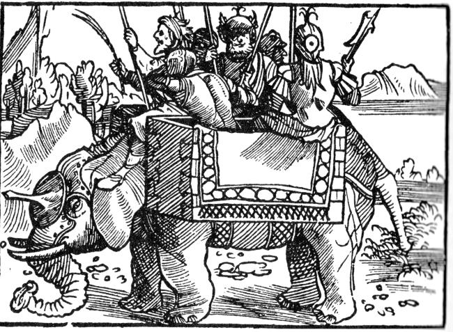 Иллюстрация к книге — Животные в войнах древнего мира [i_028.jpg]