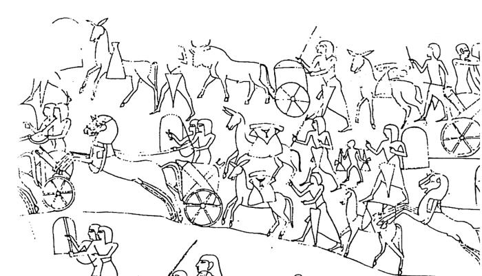 Иллюстрация к книге — Животные в войнах древнего мира [i_044.jpg]