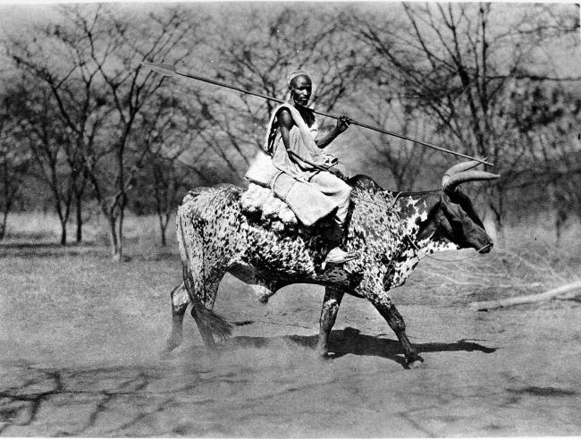 Иллюстрация к книге — Животные в войнах древнего мира [i_051.jpg]