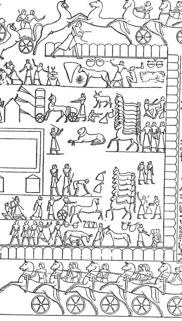 Иллюстрация к книге — Животные в войнах древнего мира [i_052.jpg]