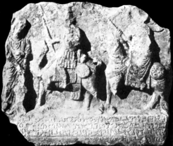 Иллюстрация к книге — Животные в войнах древнего мира [i_068.jpg]