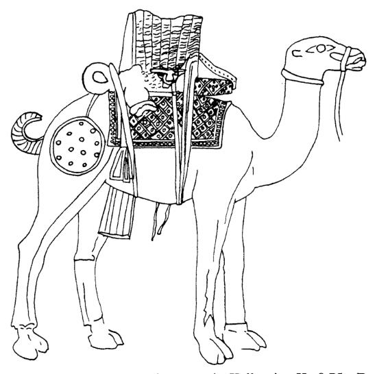 Иллюстрация к книге — Животные в войнах древнего мира [i_069.jpg]