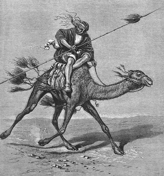 Иллюстрация к книге — Животные в войнах древнего мира [i_073.jpg]