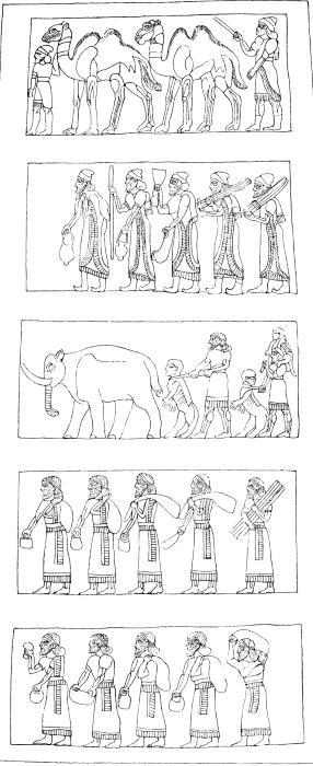 Иллюстрация к книге — Животные в войнах древнего мира [i_078.jpg]