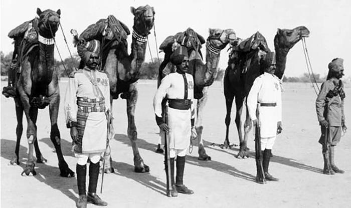 Иллюстрация к книге — Животные в войнах древнего мира [i_079.jpg]