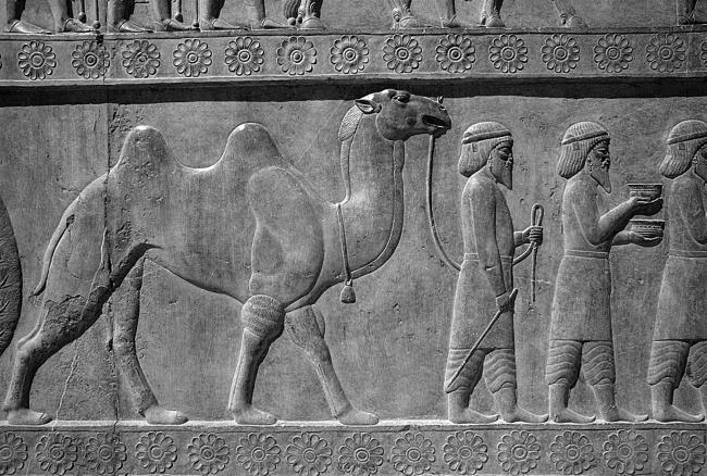 Иллюстрация к книге — Животные в войнах древнего мира [i_084.jpg]