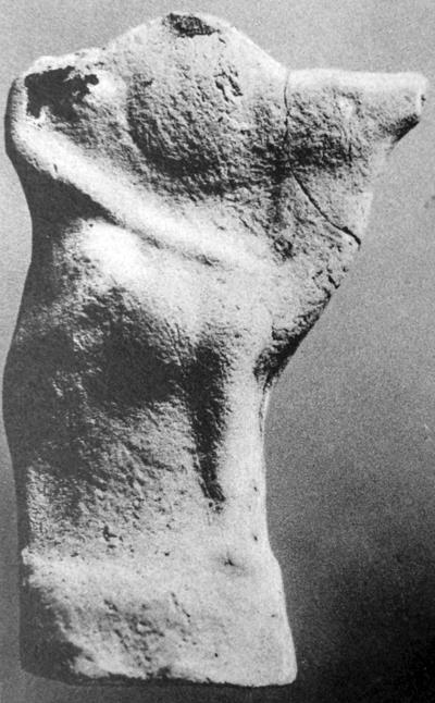 Иллюстрация к книге — Животные в войнах древнего мира [i_086.jpg]