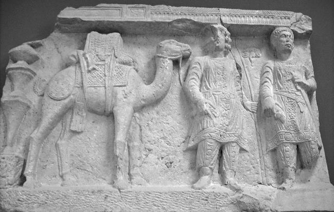 Иллюстрация к книге — Животные в войнах древнего мира [i_097.jpg]