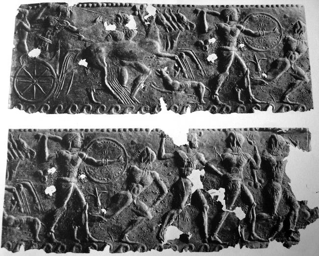 Иллюстрация к книге — Животные в войнах древнего мира [i_107.jpg]