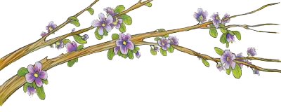 Иллюстрация к книге — По следам лунных цветов [i_003.jpg]