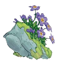 Иллюстрация к книге — По следам лунных цветов [i_008.jpg]