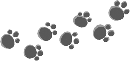 Иллюстрация к книге — Снежик, или Чудо в переулке Синичек [i_020.jpg]