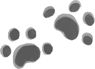 Иллюстрация к книге — Снежик, или Чудо в переулке Синичек [i_103.jpg]