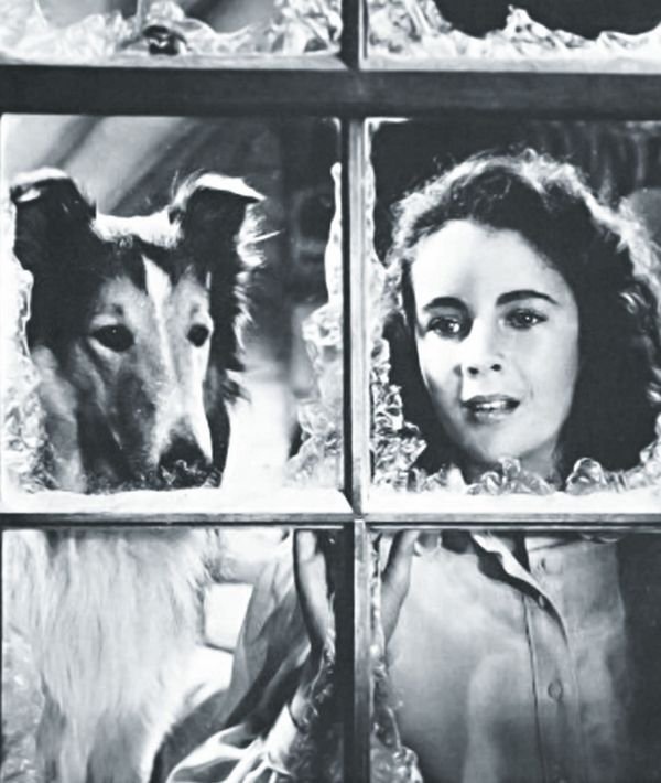 Иллюстрация к книге — Элизабет Тейлор. Жизнь, рассказанная ею самой [i_010.jpg]