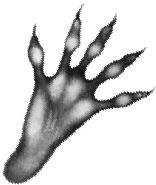 Иллюстрация к книге — Месть пумы [i_027.jpg]