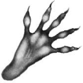 Иллюстрация к книге — Месть пумы [i_032.jpg]