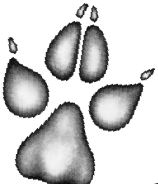 Иллюстрация к книге — Месть пумы [i_033.jpg]