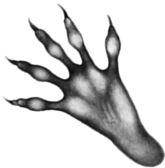 Иллюстрация к книге — Месть пумы [i_037.jpg]