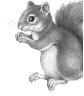 Иллюстрация к книге — Месть пумы [i_042.jpg]