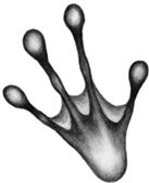 Иллюстрация к книге — Месть пумы [i_043.jpg]