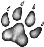 Иллюстрация к книге — Месть пумы [i_044.jpg]