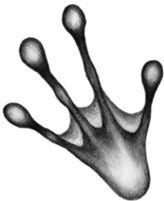 Иллюстрация к книге — Месть пумы [i_058.jpg]