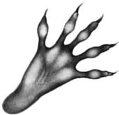 Иллюстрация к книге — Месть пумы [i_072.jpg]