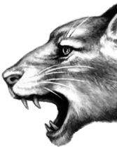 Иллюстрация к книге — Месть пумы [i_074.jpg]